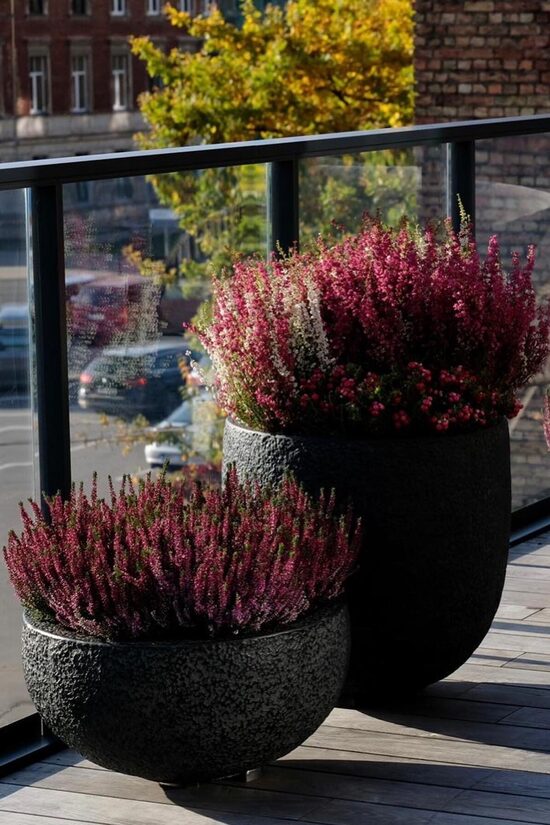 Puķu podu sērija Rock Basalt